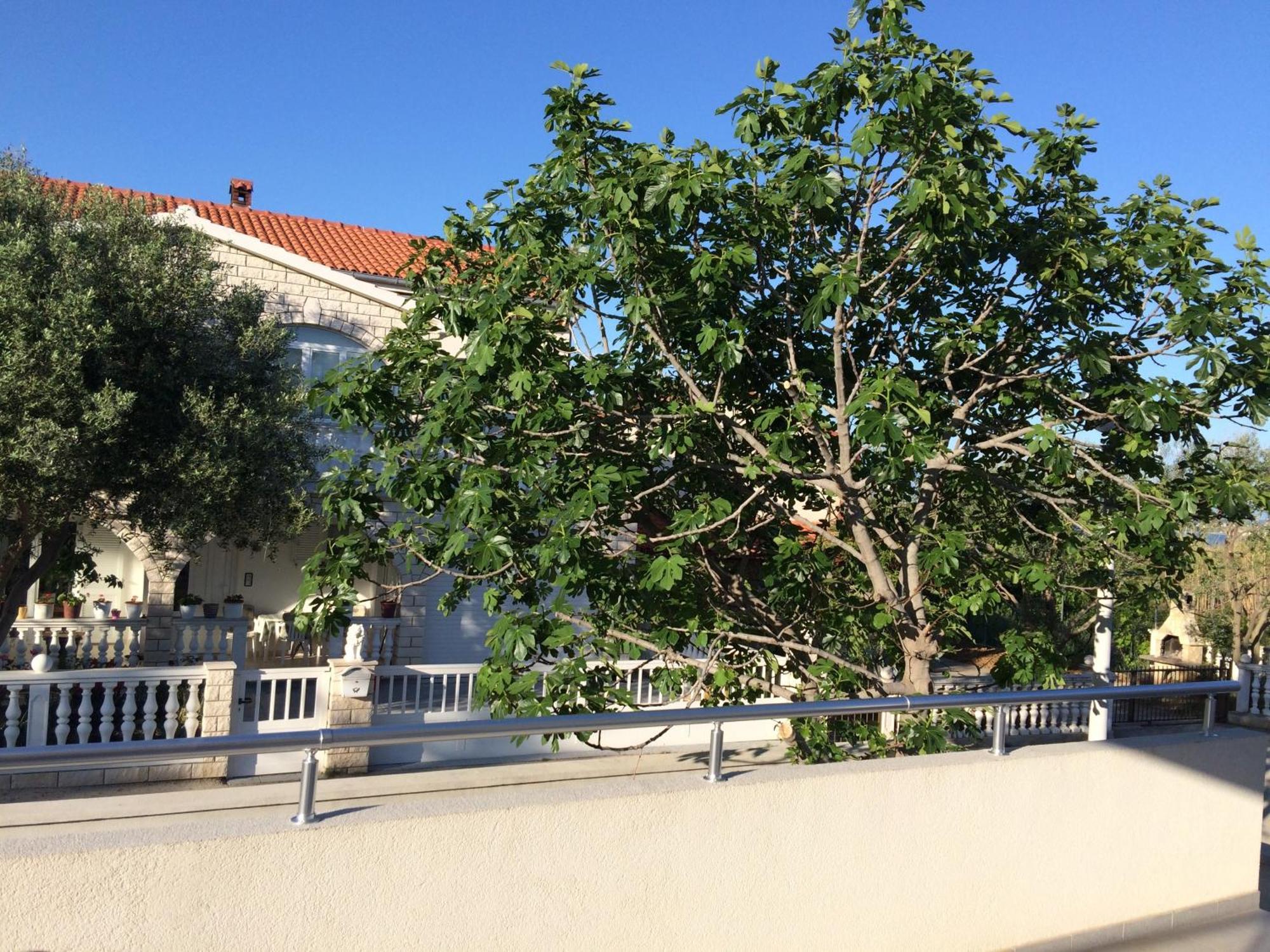 Casa Vito Διαμέρισμα Nin Εξωτερικό φωτογραφία